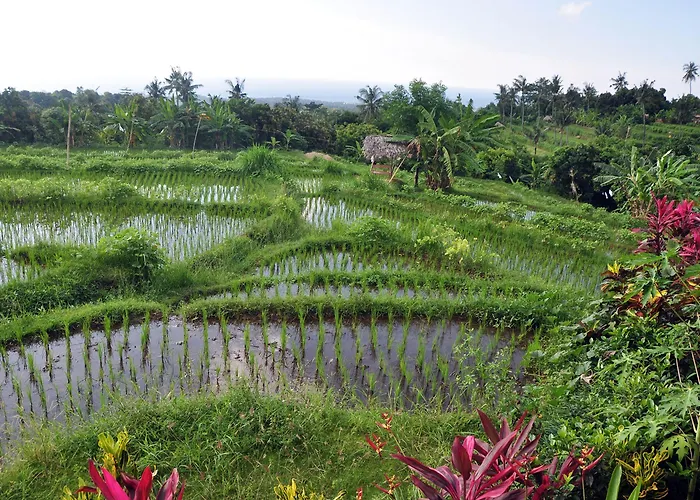 Puri Mangga Sea View And 4*